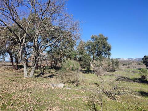 Terreno rústico para horta com poço em Penamacor