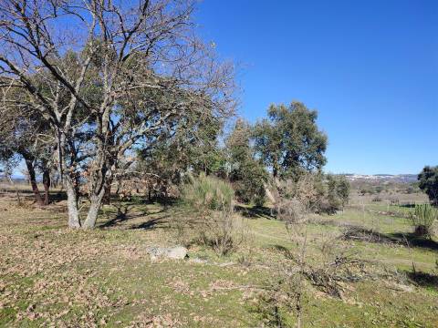 Terreno rústico para horta com poço em Penamacor