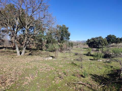 Terreno rústico para horta com poço em Penamacor