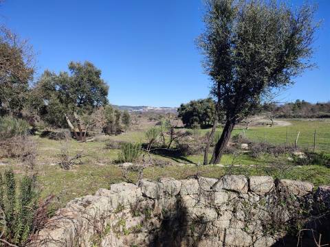 Terreno rústico para horta com poço em Penamacor