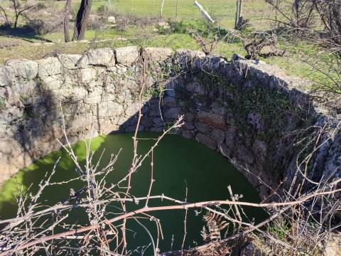 Terreno rústico para horta com poço em Penamacor