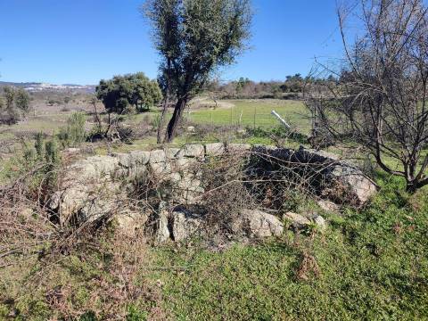 Terreno rústico para horta com poço em Penamacor