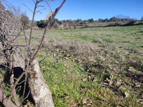 Terreno rústico para horta com poço em Penamacor