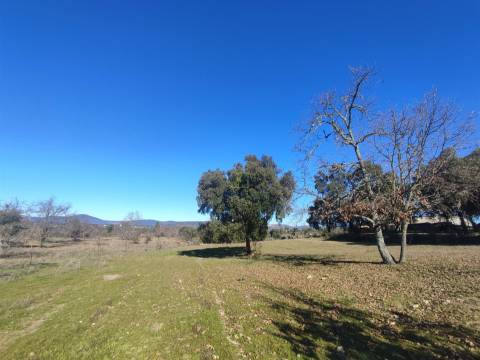 Terreno rústico para horta com poço em Penamacor