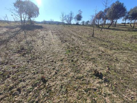 Terreno rústico para horta com poço em Penamacor
