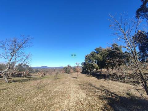 Terreno rústico para horta com poço em Penamacor