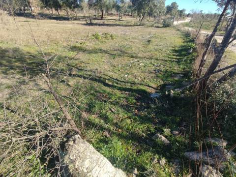 Terreno rústico para horta com poço em Penamacor
