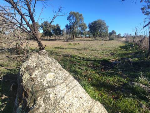 Terreno rústico para horta com poço em Penamacor