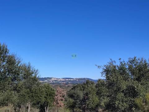 Terreno rústico para horta com poço em Penamacor