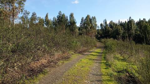 Quinta com contrução rural no Fratel!