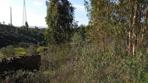 Quinta com contrução rural no Fratel!