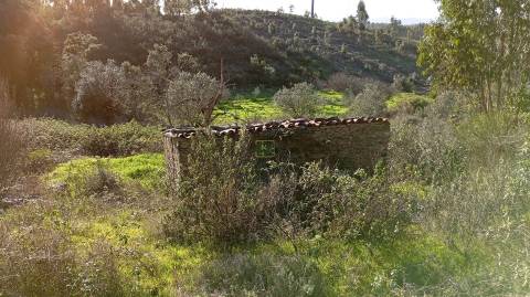 Quinta com contrução rural no Fratel!