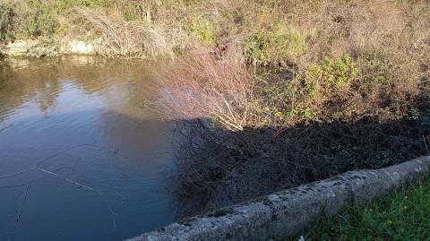 Quinta com contrução rural no Fratel!