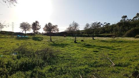 Quinta com contrução rural no Fratel!