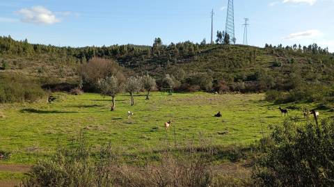 Quinta com contrução rural no Fratel!