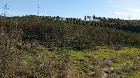 Quinta com contrução rural no Fratel!