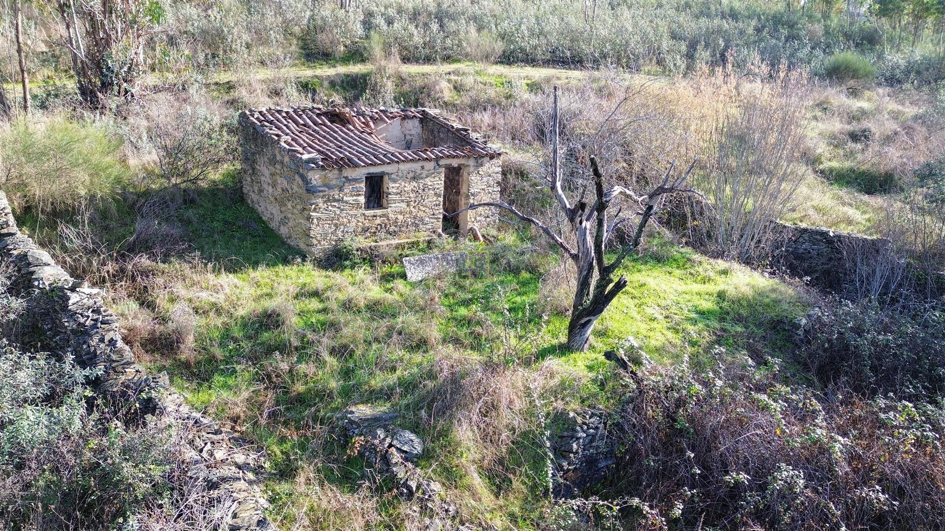 Quinta com contrução rural no Fratel!