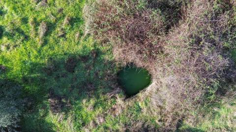 Quinta com contrução rural no Fratel!