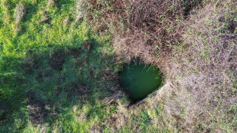 Quinta com contrução rural no Fratel!