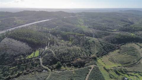 Quinta com contrução rural no Fratel!