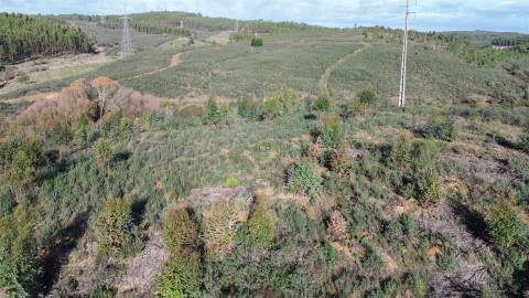 Quinta com contrução rural no Fratel!