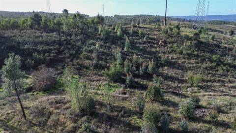 Quinta com contrução rural no Fratel!
