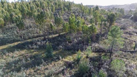 Quinta com contrução rural no Fratel!
