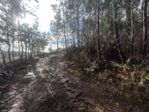 Terreno rústico em Aranhas, Penamacor
