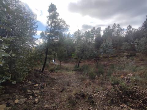 Terreno rústico em Aranhas, Penamacor