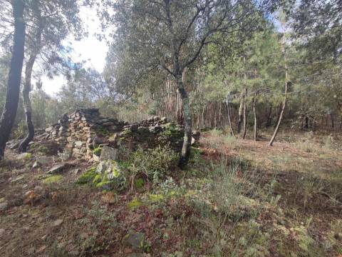 Terreno rústico em Aranhas, Penamacor