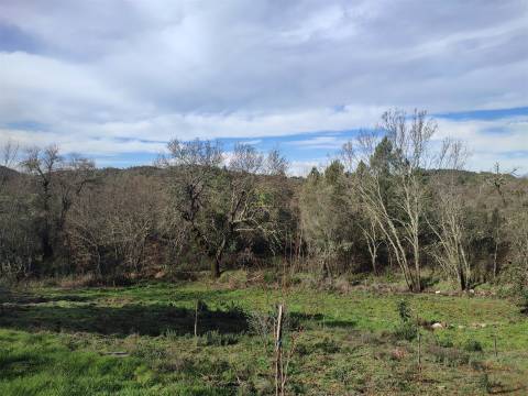 Terreno para horta em Monsanto