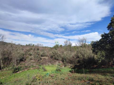 Terreno para horta em Monsanto