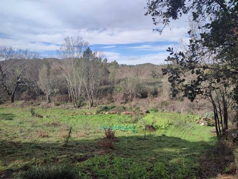 Terreno para horta em Monsanto