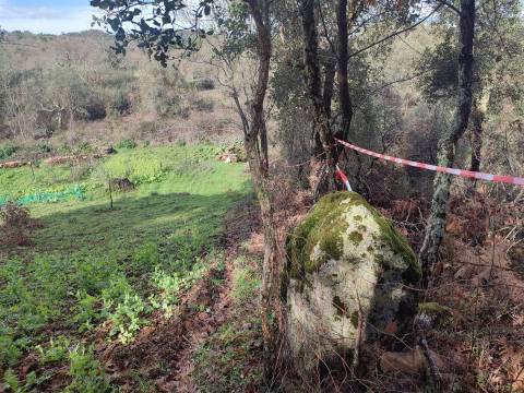 Terreno para horta em Monsanto