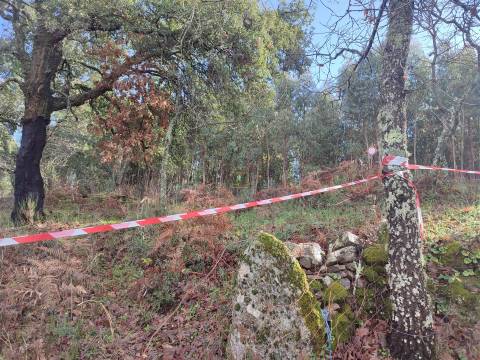 Terreno para horta em Monsanto