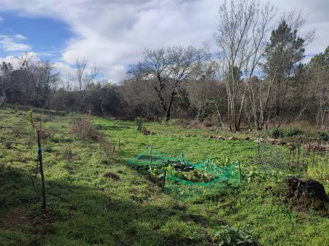 Terreno para horta em Monsanto