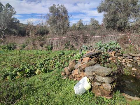 Terreno para horta em Monsanto