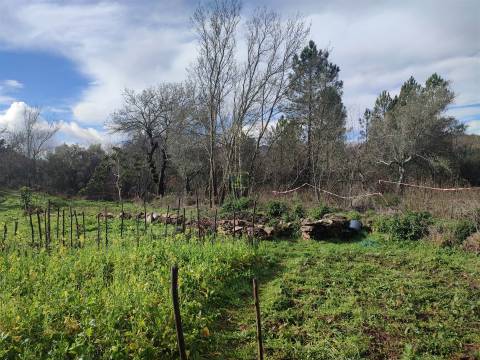 Terreno para horta em Monsanto