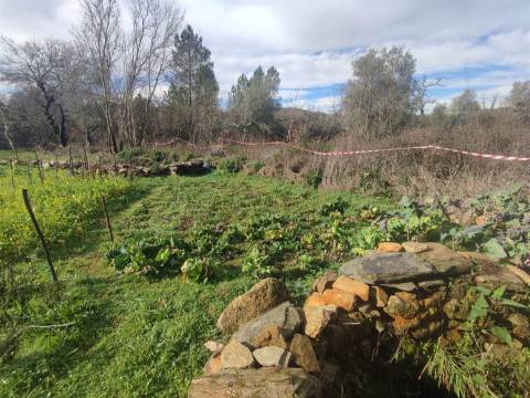 Terreno para horta em Monsanto