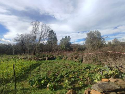 Terreno para horta em Monsanto