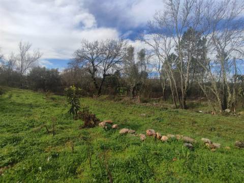 Terreno para horta em Monsanto
