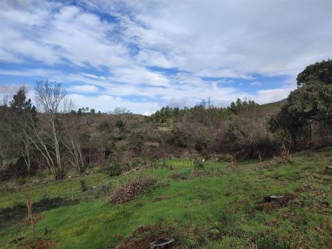 Terreno para horta em Monsanto