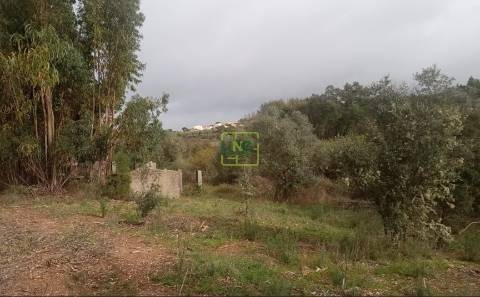 Terreno Rústico  Venda em Cebolais de Cima e Retaxo,Castelo Branco