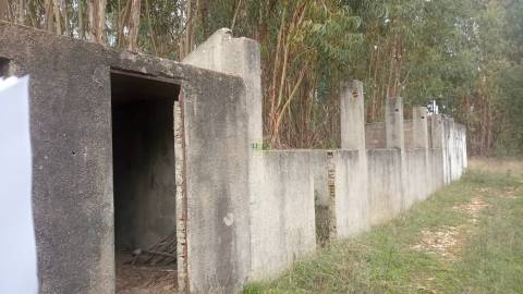 Terreno Rústico  Venda em Cebolais de Cima e Retaxo,Castelo Branco