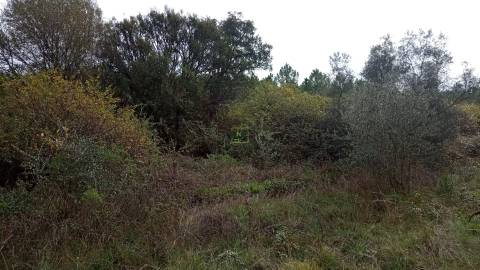 Terreno Rústico  Venda em Cebolais de Cima e Retaxo,Castelo Branco