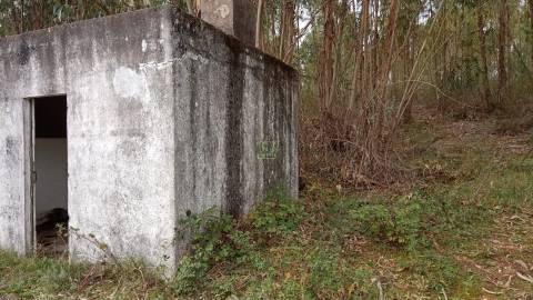 Terreno Rústico  Venda em Cebolais de Cima e Retaxo,Castelo Branco