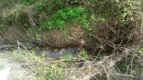 Terreno Rústico  Venda em Cebolais de Cima e Retaxo,Castelo Branco