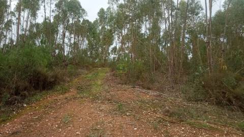 Terreno Rústico  Venda em Cebolais de Cima e Retaxo,Castelo Branco