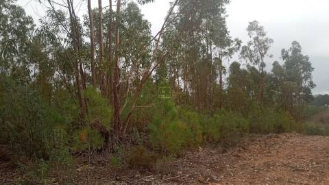 Terreno Rústico  Venda em Cebolais de Cima e Retaxo,Castelo Branco