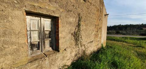 Moradia para venda na freguesia de Sarzedas